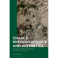 Chance, Phenomenology and Aesthetics: Heidegger, Derrida and Contingency in Twentieth Century Art