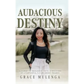 Audacious Destiny: A journey of resilience, faith, and discovery of a purposeful future amidst tragedy