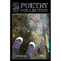 Teen Author Boot Camp Poetry Collection 2020: Issue 001