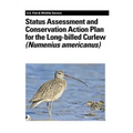 Status Assessment and Conservation Action Plan for the Long-billed Curlew (Numenius americanus)