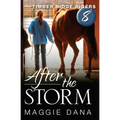 After the Storm