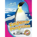 Emperor Penguins