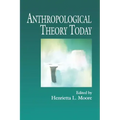 Anthropological Theory Today