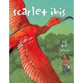Scarlet Ibis