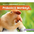 Proboscis Monkeys