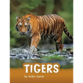 Tigers