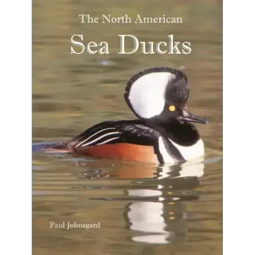 The North American Sea Ducks