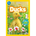 Ducks (National Geographic Kids Readers, Pre-Reader)