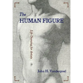 The Human Figure