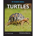 My Favorite Animal: Turtles