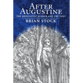 After Augustine: The Meditative Reader and the Text