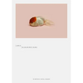 Robert Zhao Renhui: A Guide to the Flora and Fauna of the World: Steidl Book Award Asia 2017