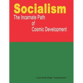 Socialism - the incarnate path of cosmic development