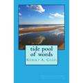 Tide Pool of Words: Prose and poetry from a beach chair storyteller