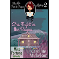 One Night in the Bayou
