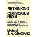Rethinking Consciousness: A Scientific Theory of Subjective Experience