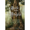 A Book Written For Angels: An interpretation of Swedenborg's "The Worship and Love of God"