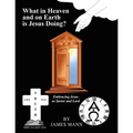 What in Heaven and on Earth Is Jesus Doing?: Embracing Jesus as Savior and Lord