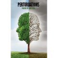 Perturbations