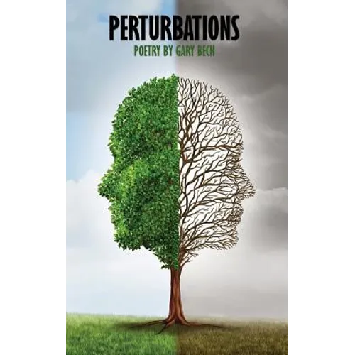 Perturbations