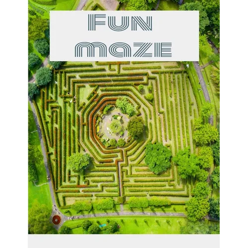 Maze Book - Easy to Moderate to Challenging Puzzles: Maze Puzzle Book - Easy to Moderate to Challenging Puzzles: with answers Maze Book Puzzlers for A