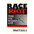 Race Riot: Chicago in the Red Summer of 1919