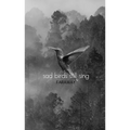 Sad Birds Still Sing