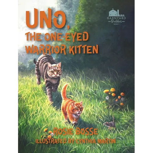 Uno the One-Eyed Warrior Kitten