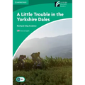 A Little Trouble in the Yorkshire Dales