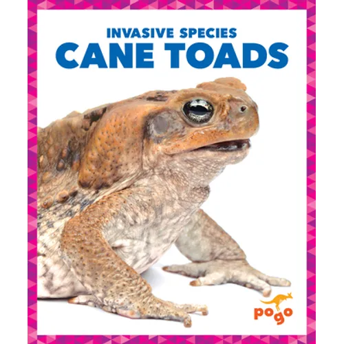 Cane Toads