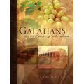 Galatians and the Fruit of the Spirit
