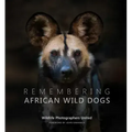 Remembering African Wild Dogs