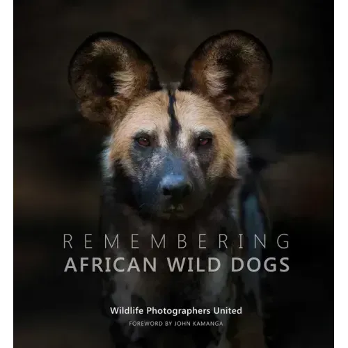 Remembering African Wild Dogs