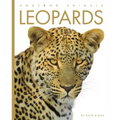 Leopards