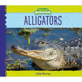 Alligators