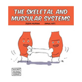 Skeletal and Muscular Systems