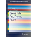 Ozone Hole: Past, Present, Future