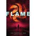 Flame: Book Three of the Sky Chasers