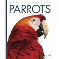 Parrots