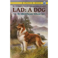 Lad: A Dog