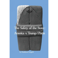 The Safety of the State: America v. Trump/Putin