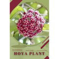 Hoya plant: Plant Guide