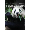 Panda Bears - Curious Kids Press