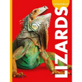 Curious about Lizards