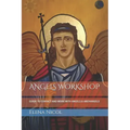 Angels Workshop: Guide to Contact and Work with Angels & Archangels