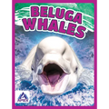 Beluga Whales