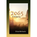 2065 in the Beginning