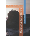 Search for Meaning: At The Broken Places
