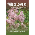 Wildflowers of The Little Tennessee River Greenway