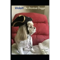Wickett the Anxious Doggo